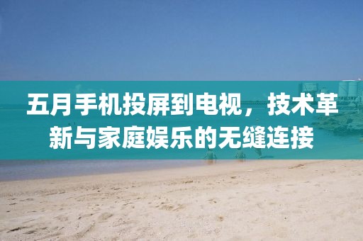五月手机投屏到电视，技术革新与家庭娱乐的无缝连接