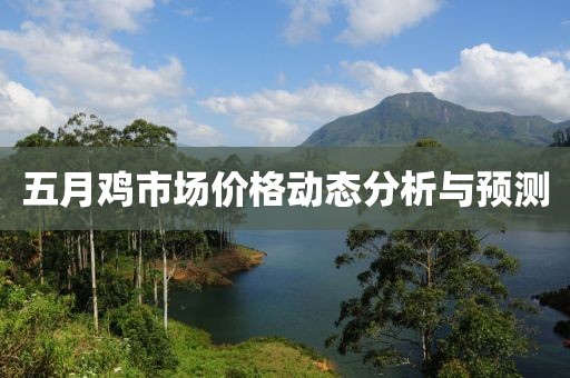 五月鸡市场价格动态分析与预测