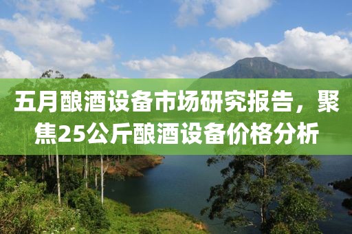 五月酿酒设备市场研究报告，聚焦25公斤酿酒设备价格分析