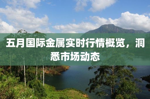 五月国际金属实时行情概览，洞悉市场动态