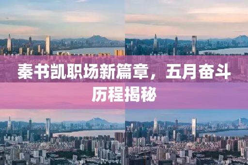 秦书凯职场新篇章，五月奋斗历程揭秘