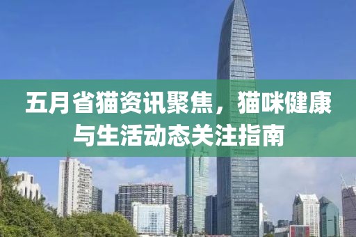 五月省猫资讯聚焦，猫咪健康与生活动态关注指南