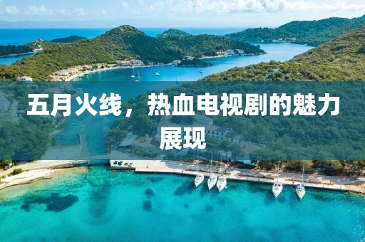 五月火线，热血电视剧的魅力展现