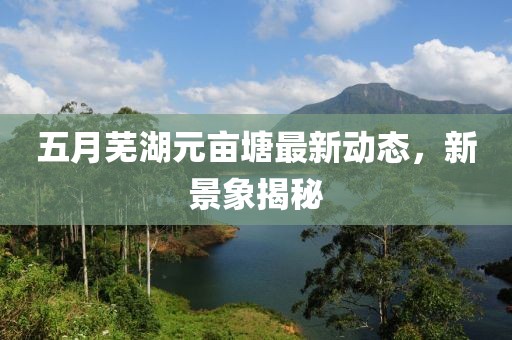 五月芜湖元亩塘最新动态，新景象揭秘
