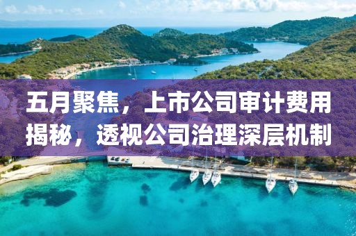 五月聚焦，上市公司审计费用揭秘，透视公司治理深层机制