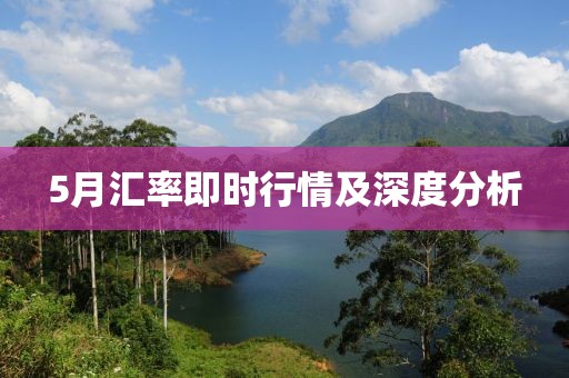 5月汇率即时行情及深度分析