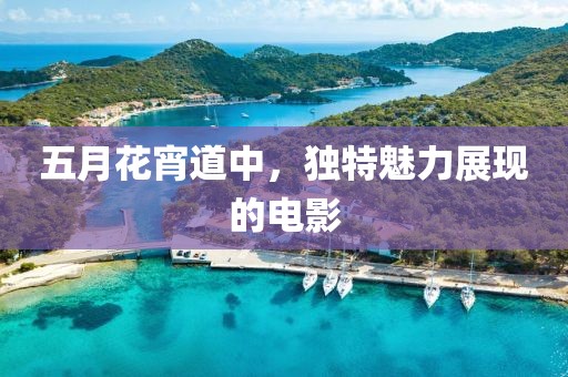 五月花宵道中，独特魅力展现的电影