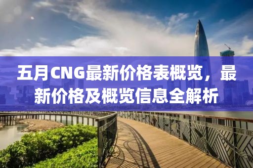 五月CNG最新价格表概览，最新价格及概览信息全解析
