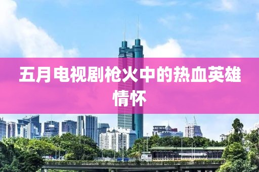 五月电视剧枪火中的热血英雄情怀