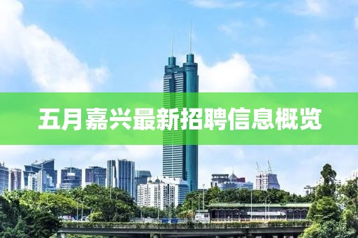 五月嘉兴最新招聘信息概览