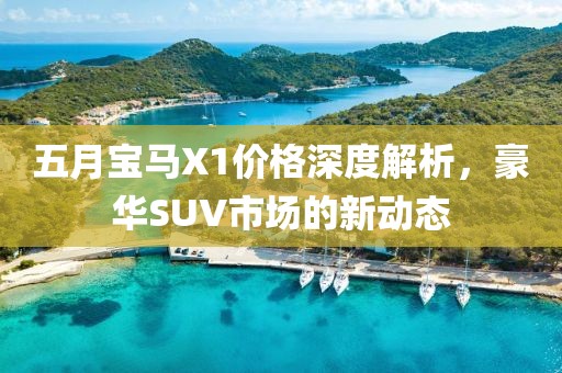 五月宝马X1价格深度解析，豪华SUV市场的新动态