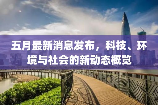 五月最新消息发布，科技、环境与社会的新动态概览