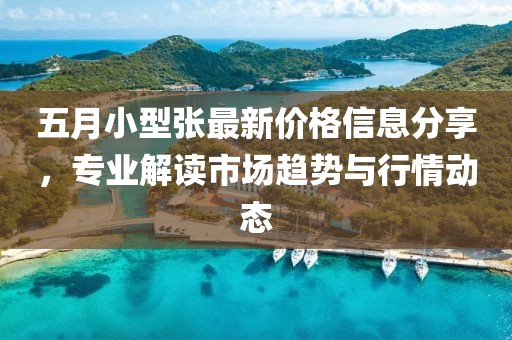 五月小型张最新价格信息分享，专业解读市场趋势与行情动态