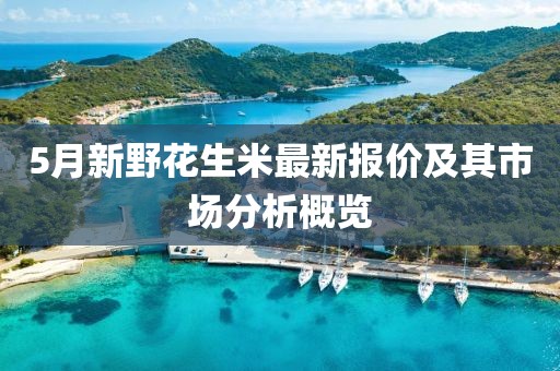 5月新野花生米最新报价及其市场分析概览