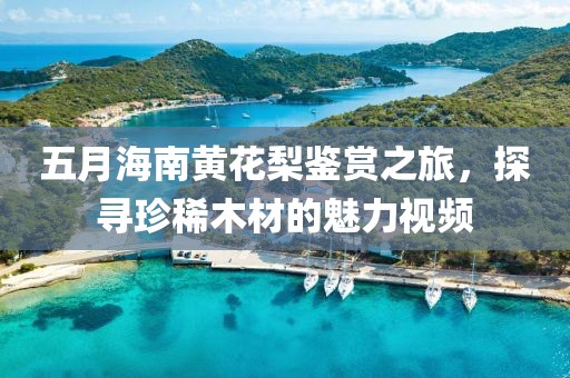 五月海南黄花梨鉴赏之旅，探寻珍稀木材的魅力视频