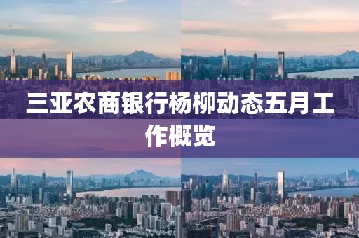 三亚农商银行杨柳动态五月工作概览