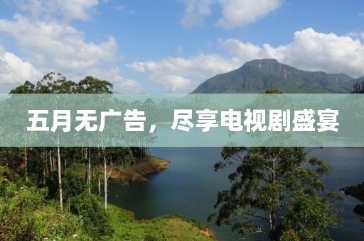 五月无广告，尽享电视剧盛宴