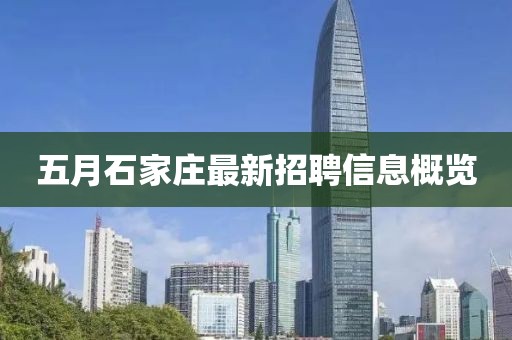 五月石家庄最新招聘信息概览
