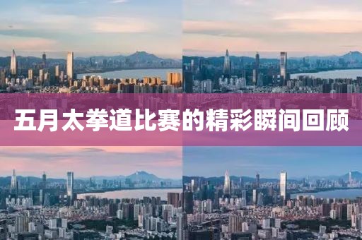 五月太拳道比赛的精彩瞬间回顾