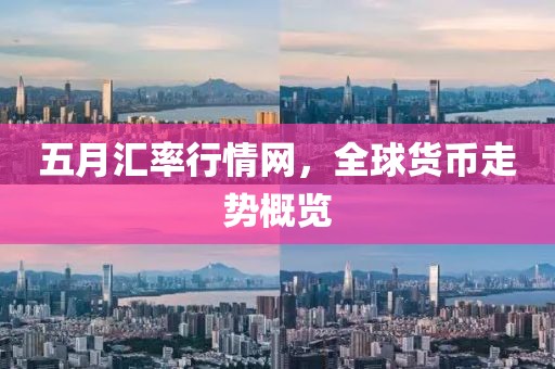 五月汇率行情网，全球货币走势概览