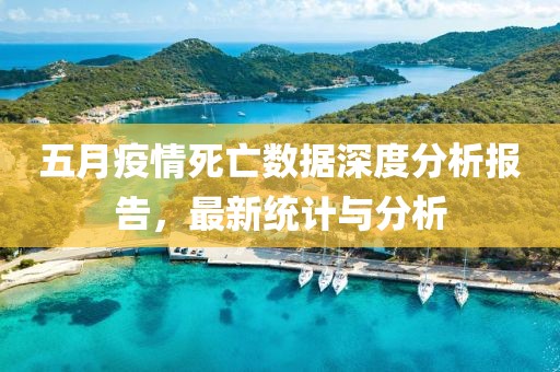 五月疫情死亡数据深度分析报告，最新统计与分析