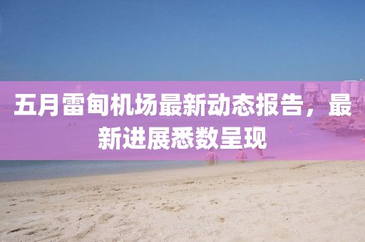 五月雷甸机场最新动态报告，最新进展悉数呈现