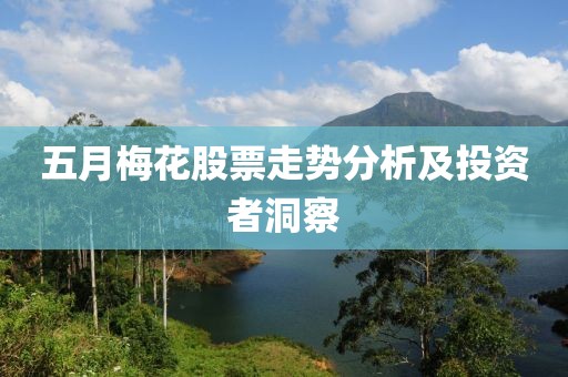 五月梅花股票走势分析及投资者洞察