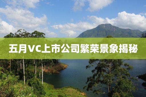 五月VC上市公司繁荣景象揭秘