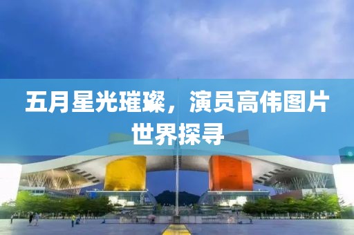 五月星光璀璨，演员高伟图片世界探寻