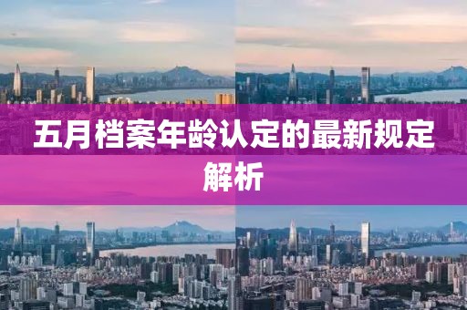 五月档案年龄认定的最新规定解析
