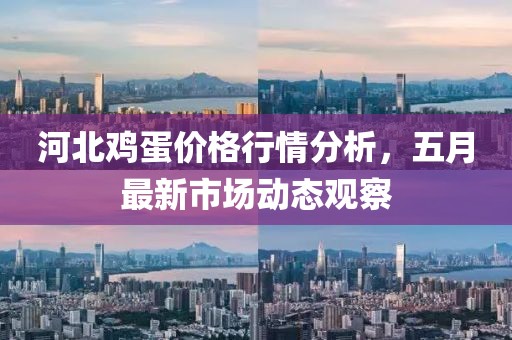 河北鸡蛋价格行情分析，五月最新市场动态观察