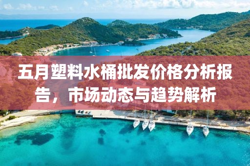 五月塑料水桶批发价格分析报告，市场动态与趋势解析