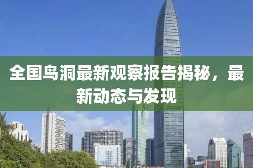 全国鸟洞最新观察报告揭秘，最新动态与发现