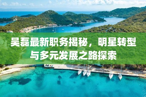 吴磊最新职务揭秘，明星转型与多元发展之路探索