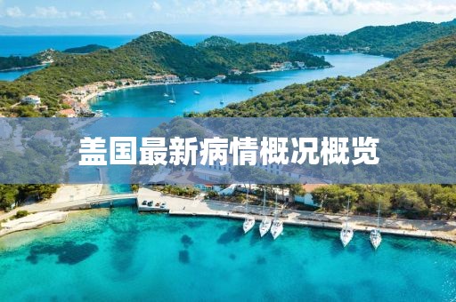 盖国最新病情概况概览