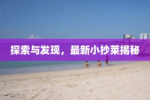 探索与发现，最新小抄莱揭秘