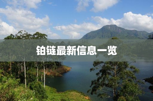 铂链最新信息一览