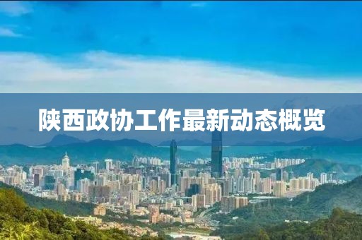 陕西政协工作最新动态概览