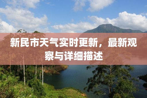 新民市天气实时更新，最新观察与详细描述