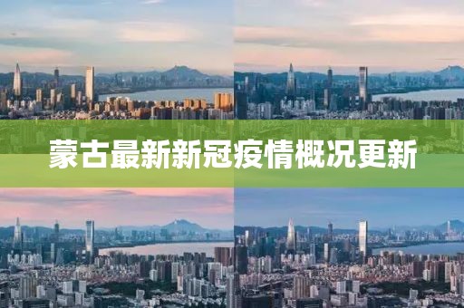 蒙古最新新冠疫情概况更新