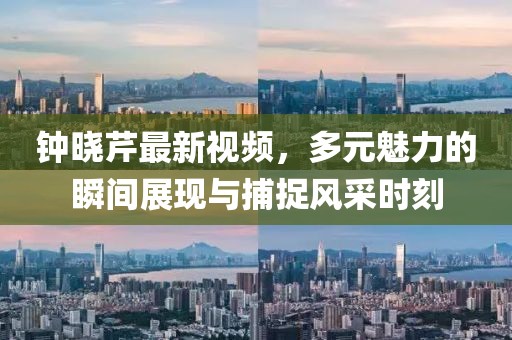 钟晓芹最新视频，多元魅力的瞬间展现与捕捉风采时刻