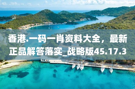 香港.一码一肖资料大全，最新正品解答落实_战略版45.17.3