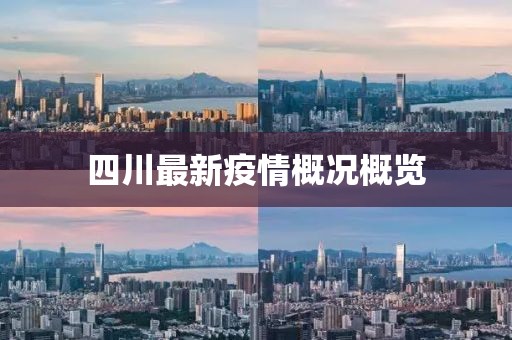 四川最新疫情概况概览