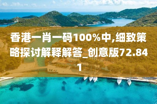 香港一肖一码100%中,细致策略探讨解释解答_创意版72.841