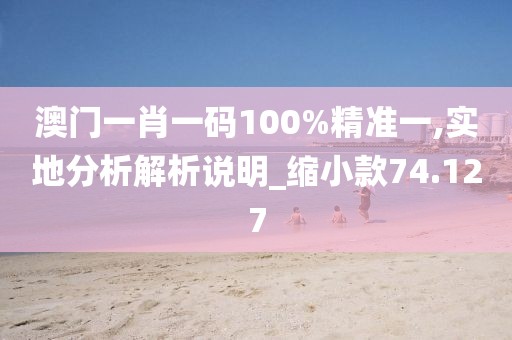 澳门一肖一码100%精准一,实地分析解析说明_缩小款74.127