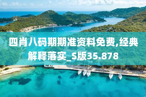 四肖八码期期准资料免费,经典解释落实_S版35.878
