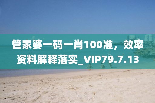 管家婆一码一肖100准，效率资料解释落实_VIP79.7.13
