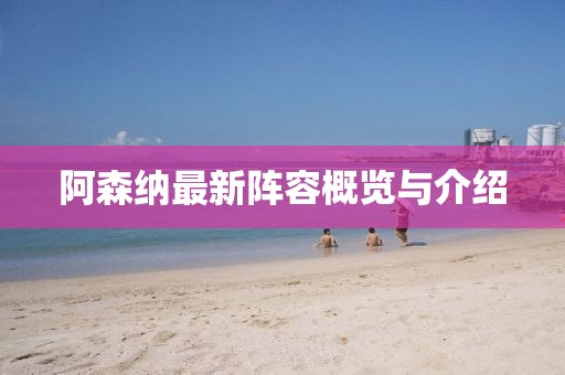 阿森纳最新阵容概览与介绍