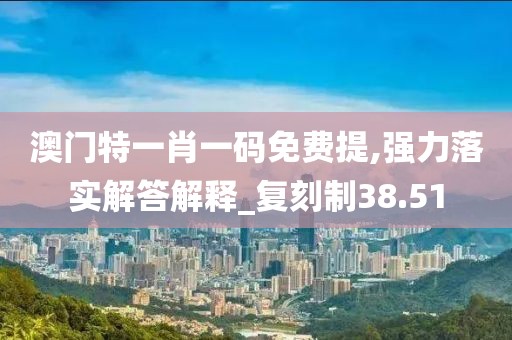 澳门特一肖一码免费提,强力落实解答解释_复刻制38.51