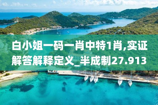 白小姐一码一肖中特1肖,实证解答解释定义_半成制27.913